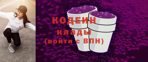 мяу мяу мука Иннополис