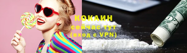 мяу мяу мука Иннополис