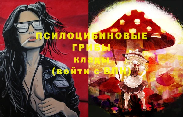 мяу мяу мука Иннополис